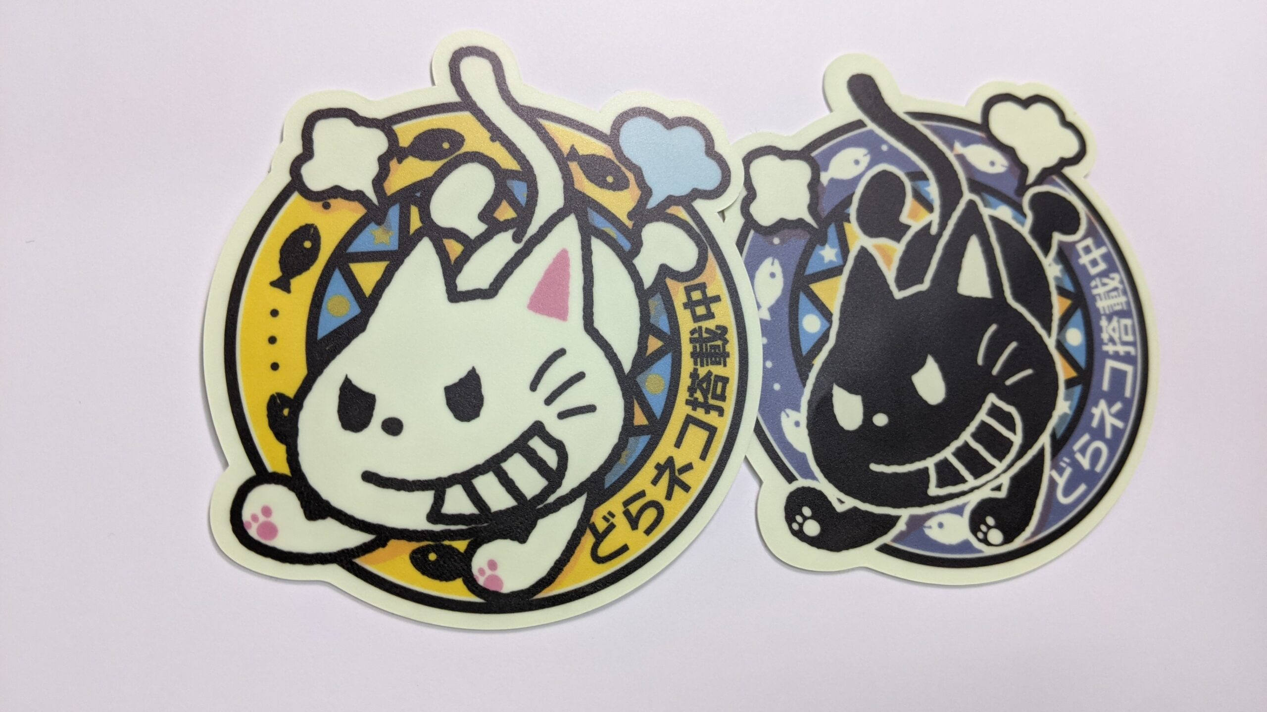 ラミネート加工なし