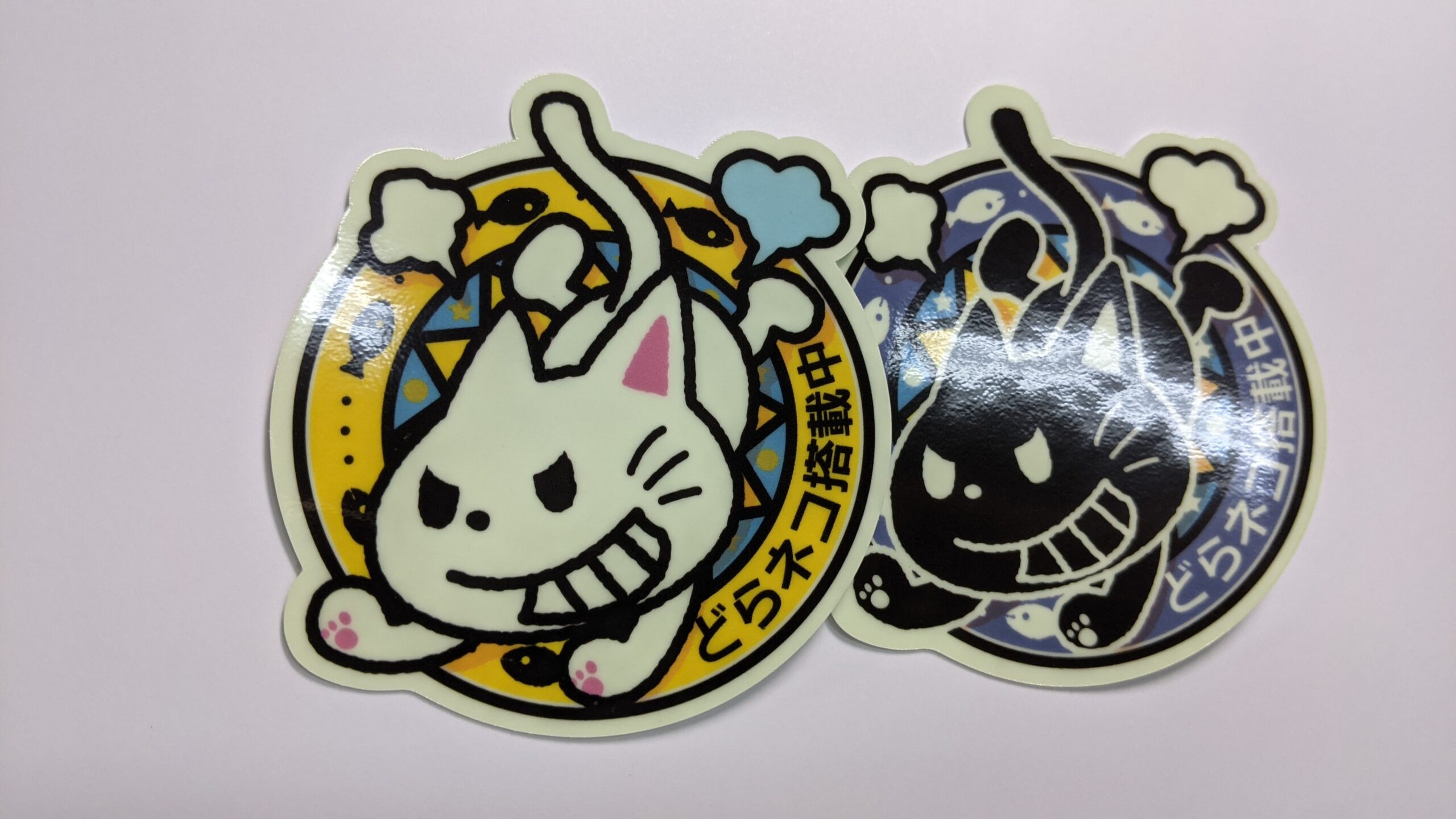 ラミネート加工あり