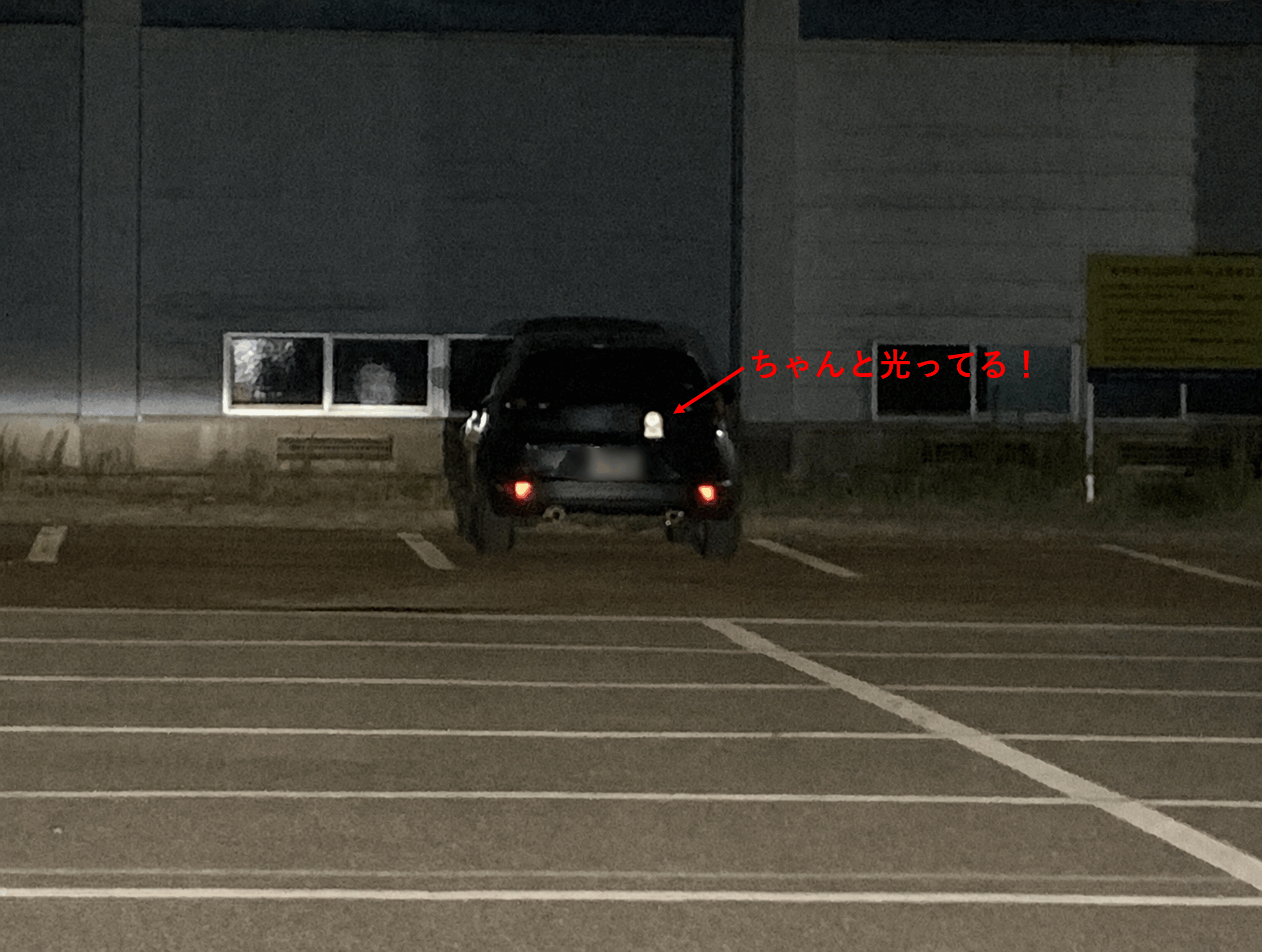 反射ステッカーの視認性